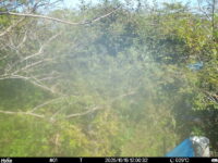 Oct 15 2025 12:00:32, #01