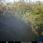 Oct 15 2025 15:00:31, #01