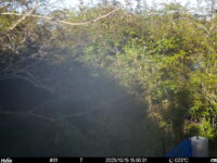 Oct 15 2025 15:00:31, #01