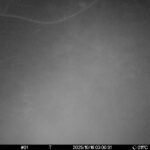Oct 16 2025  3:00:30, #01