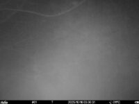 Oct 16 2025  3:00:30, #01