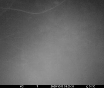 Oct 16 2025  3:00:30, #01