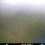 Oct 16 2025  6:00:32, #01