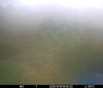 Oct 16 2025  6:00:32, #01
