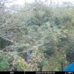 Oct 16 2025  9:00:31, #01