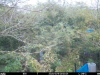 Oct 16 2025  9:00:31, #01