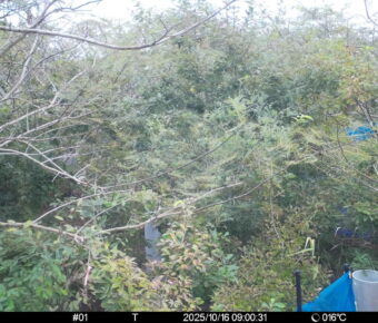 Oct 16 2025  9:00:31, #01