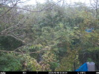 Oct 16 2025 12:00:30, #01