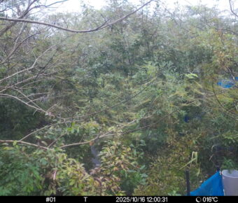 Oct 16 2025 12:00:30, #01