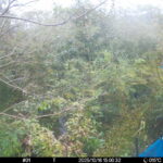 Oct 16 2025 15:00:32, #01