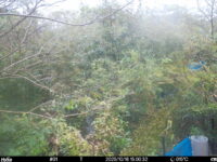 Oct 16 2025 15:00:32, #01