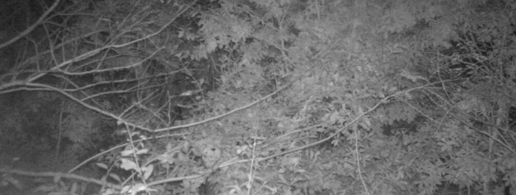 Oct 16 2025 18:00:31, #01