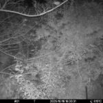 Oct 16 2025 18:00:31, #01