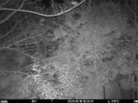 Oct 16 2025 18:00:31, #01