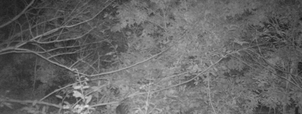 Oct 16 2025 21:00:31, #01