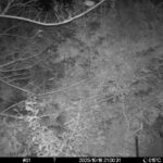 Oct 16 2025 21:00:31, #01