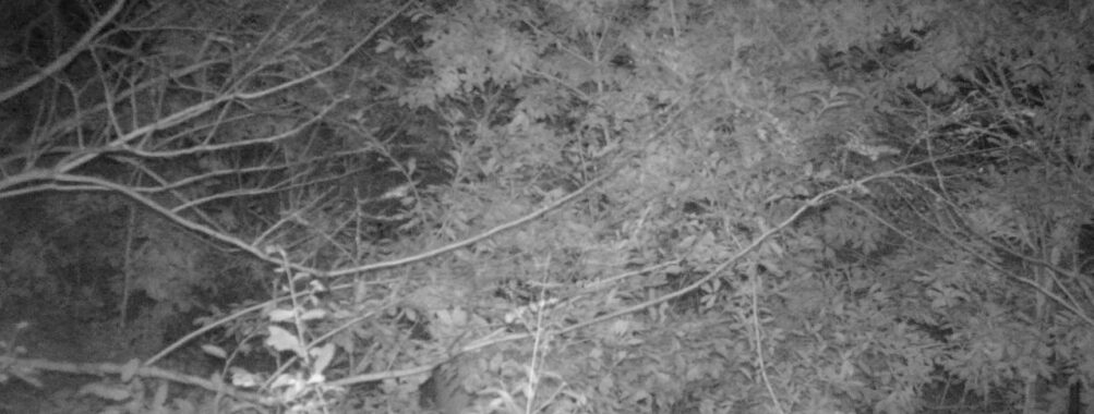 Oct 17 2025  0:00:31, #01
