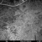 Oct 17 2025  0:00:31, #01