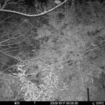 Oct 17 2025  3:00:30, #01
