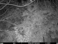 Oct 17 2025  3:00:30, #01