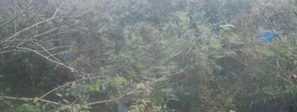 Oct 17 2025  6:00:32, #01