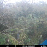 Oct 17 2025  6:00:32, #01