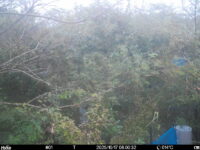 Oct 17 2025  6:00:32, #01