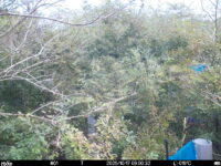 Oct 17 2025  9:00:32, #01