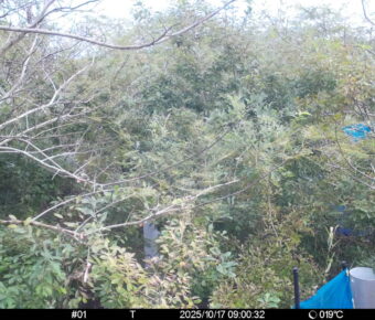 Oct 17 2025  9:00:32, #01