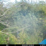 Oct 17 2025 12:00:31, #01