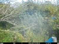 Oct 17 2025 12:00:31, #01