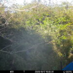 Oct 17 2025 15:00:31, #01