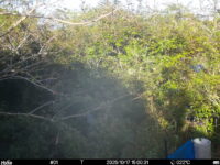 Oct 17 2025 15:00:31, #01