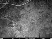 Oct 17 2025 18:00:31, #01