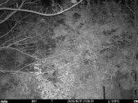 Oct 17 2025 21:00:30, #01