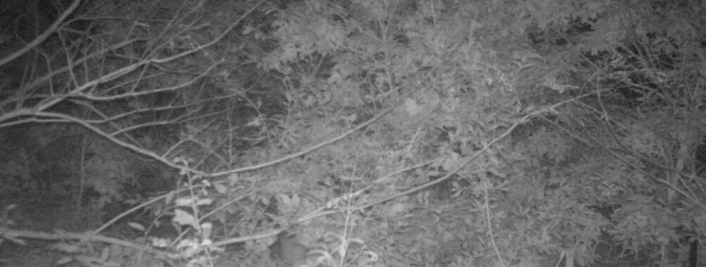 Oct 18 2025  0:00:31, #01