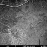 Oct 18 2025  0:00:31, #01