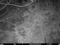 Oct 18 2025  0:00:31, #01