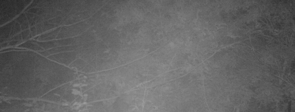 Oct 18 2025  3:00:31, #01