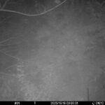 Oct 18 2025  3:00:31, #01
