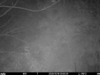 Oct 18 2025  3:00:31, #01