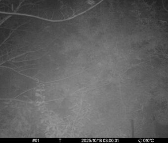 Oct 18 2025  3:00:31, #01