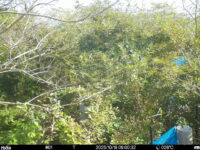 Oct 18 2025  9:00:32, #01