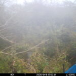 Oct 18 2025 12:00:31, #01
