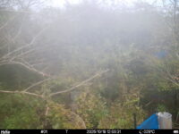 Oct 18 2025 12:00:31, #01