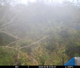 Oct 18 2025 12:00:31, #01