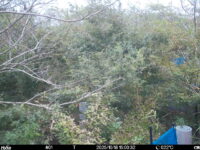 Oct 18 2025 15:00:32, #01