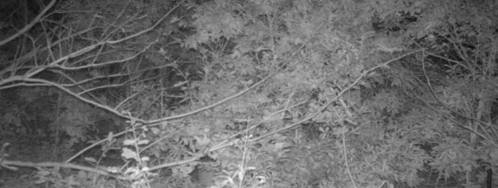 Oct 18 2025 18:00:31, #01