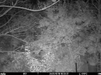 Oct 18 2025 18:00:31, #01