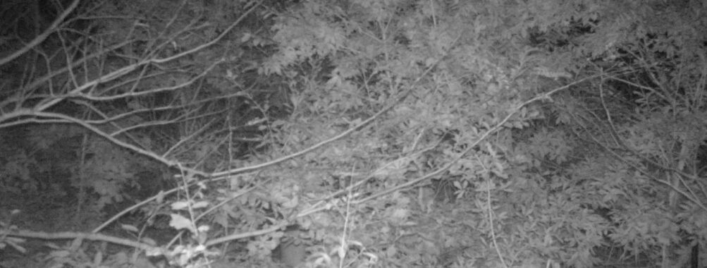 Oct 18 2025 21:00:30, #01